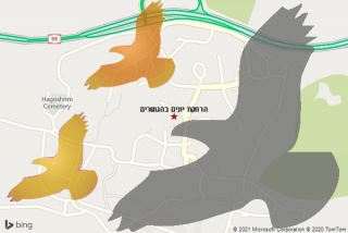 מרחיק יונים בהגושרים - הרחקת יונים בהגושרים