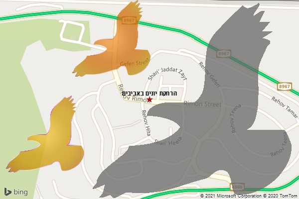 הרחקת יונים באביבים