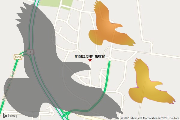 הרחקת יונים בשמרת