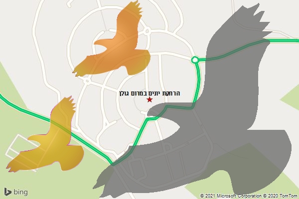הרחקת יונים במרום גולן