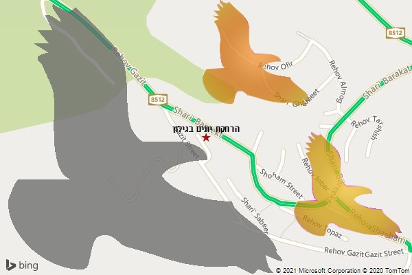 הרחקת יונים בגילון