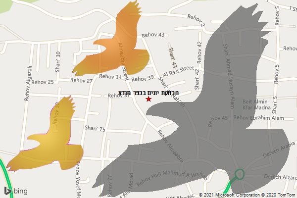 הרחקת יונים בכפר מנדא