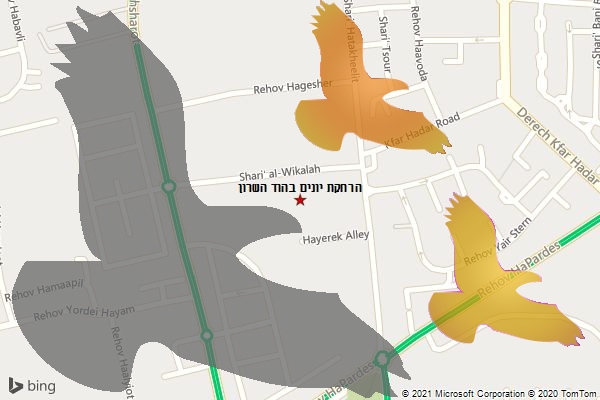 הרחקת יונים בהוד השרון