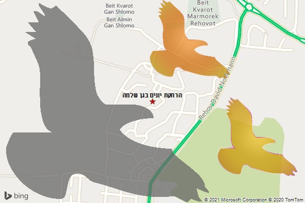 הרחקת יונים בגן שלמה