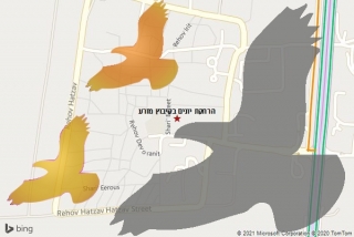 מרחיק יונים בקיבוץ מזרע - הרחקת יונים בקיבוץ מזרע