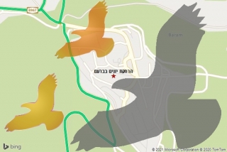 מרחיק יונים בברעם - הרחקת יונים בברעם