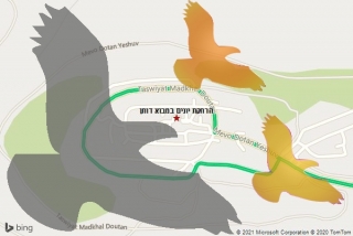 מרחיק יונים במבוא דותן - הרחקת יונים במבוא דותן