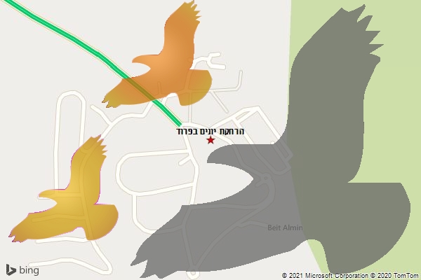 הרחקת יונים בפרוד