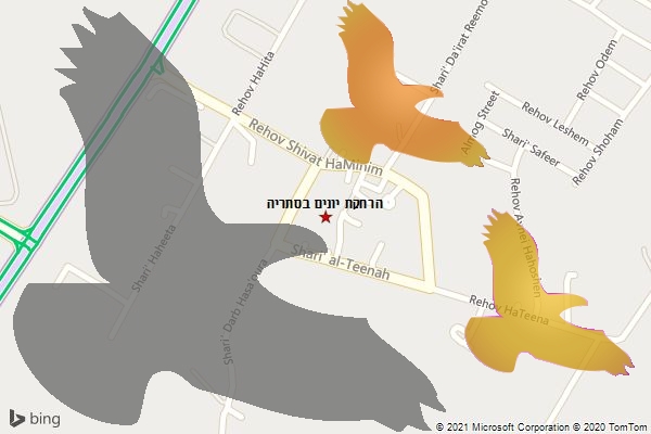 הרחקת יונים בסתריה