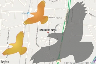 מרחיק יונים בעתלית - הרחקת יונים בעתלית