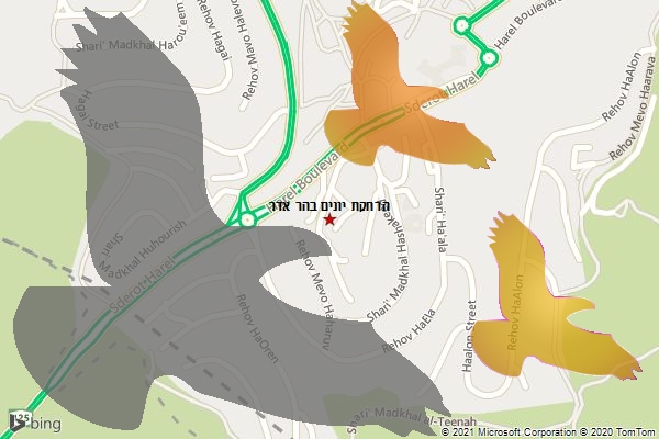 הרחקת יונים בהר אדר