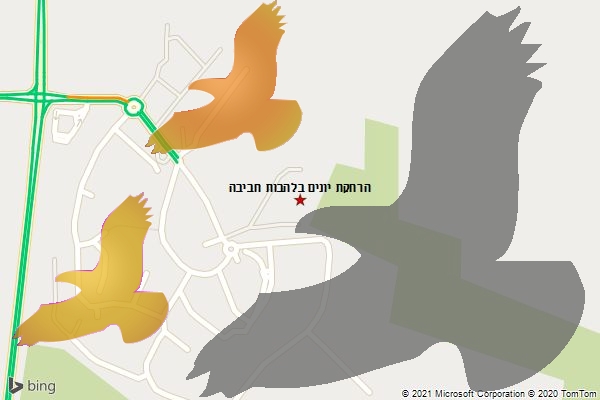 הרחקת יונים בלהבות חביבה