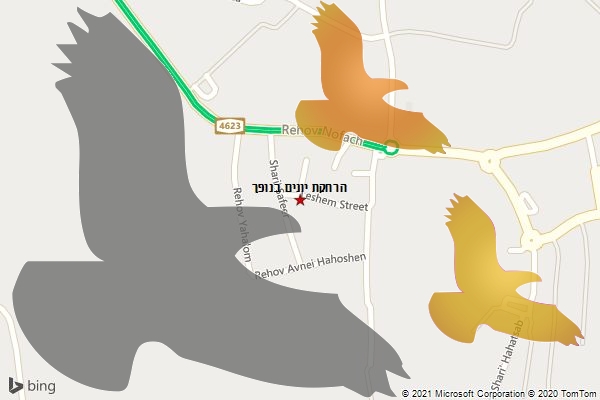 הרחקת יונים בנופך