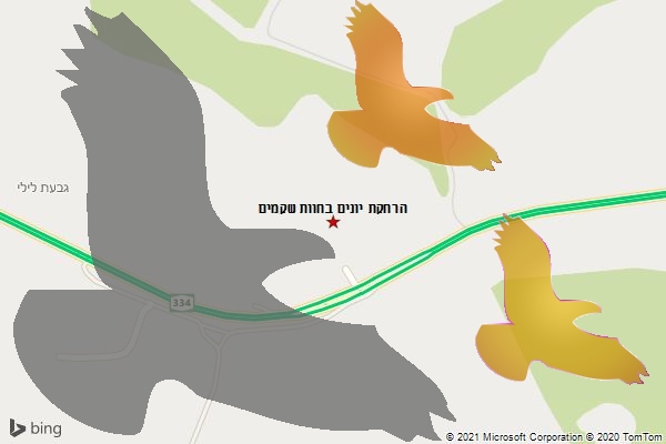 הרחקת יונים בחוות שקמים