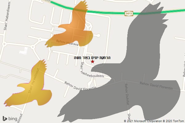 הרחקת יונים בצור משה