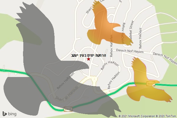 הרחקת יונים בעין יעקב