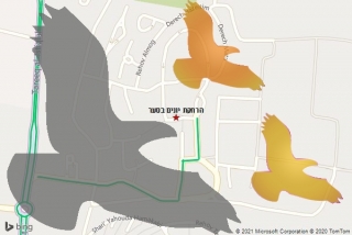 מרחיק יונים בסער - הרחקת יונים בסער
