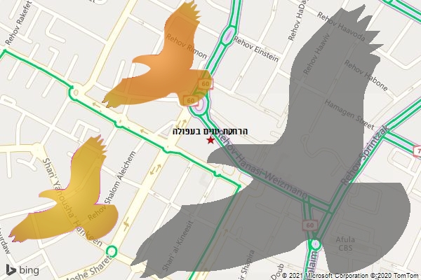 הרחקת יונים בעפולה