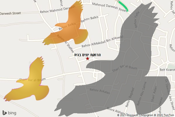 הרחקת יונים בג׳ת