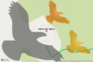 מרחיק יונים בחרשים - הרחקת יונים בחרשים