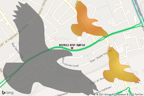 הרחקת יונים בנתיבות
