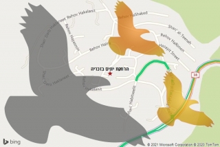 מרחיק יונים בזכריה - הרחקת יונים בזכריה