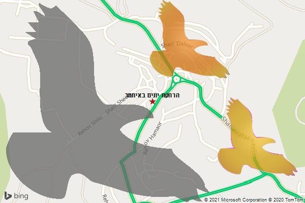 הרחקת יונים באיתמר