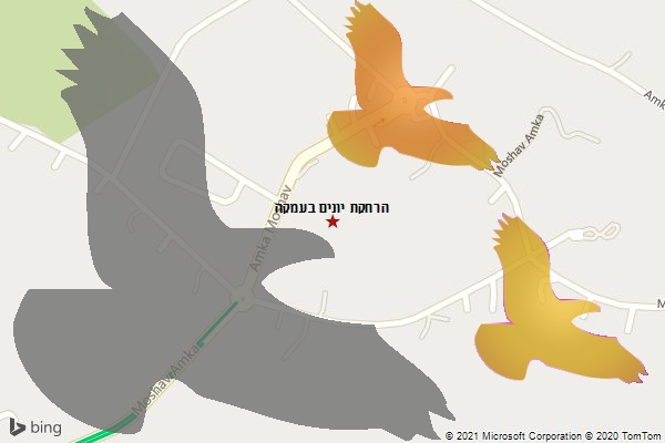הרחקת יונים בעמקה