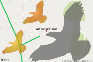 מרחיק יונים בלהבות הבשן - הרחקת יונים בלהבות הבשן