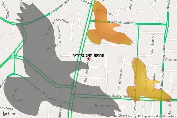 הרחקת יונים בידידיה