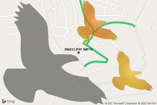 מרחיק יונים בבקעות - הרחקת יונים בבקעות