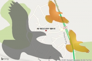 מרחיק יונים בגבעת עוז - הרחקת יונים בגבעת עוז