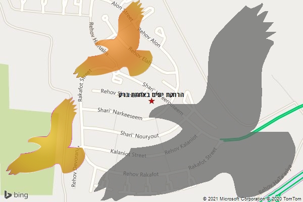 הרחקת יונים באחוזת ברק