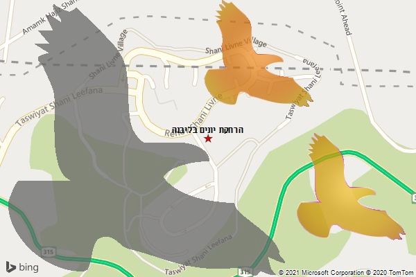 הרחקת יונים בליבנה