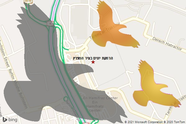 הרחקת יונים בעיר המפרץ