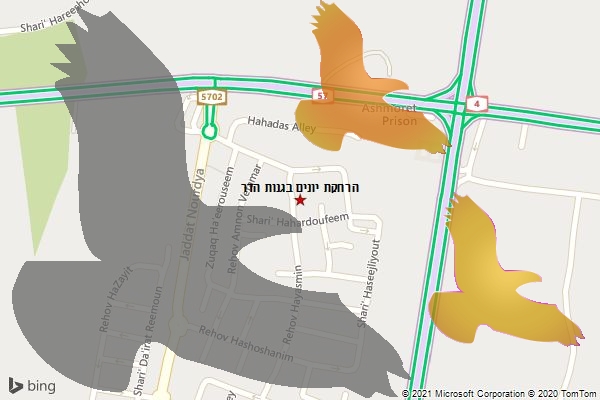 הרחקת יונים בגנות הדר