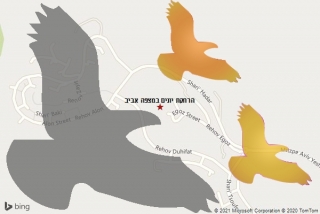מרחיק יונים במצפה אביב - הרחקת יונים במצפה אביב