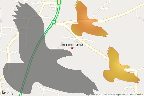 הרחקת יונים בזמר