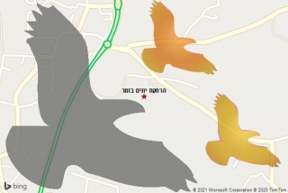 מרחיק יונים בזמר - הרחקת יונים בזמר