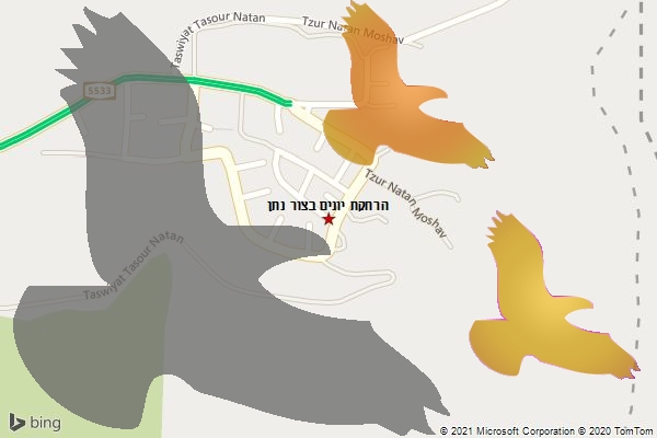 הרחקת יונים בצור נתן