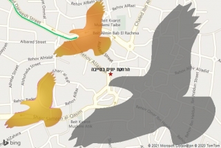 מרחיק יונים בטייבה - הרחקת יונים בטייבה