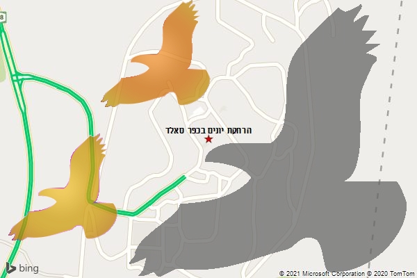 הרחקת יונים בכפר סאלד