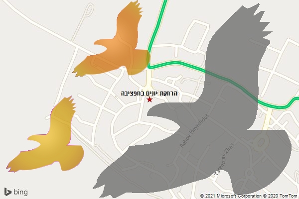 הרחקת יונים בחפציבה