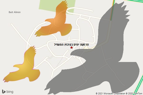 הרחקת יונים בקיבוץ המעפיל