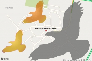 מרחיק יונים בקיבוץ המעפיל - הרחקת יונים בקיבוץ המעפיל