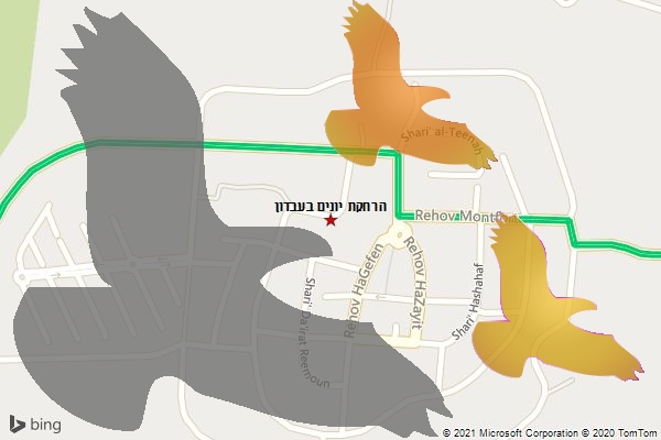 הרחקת יונים בעבדון