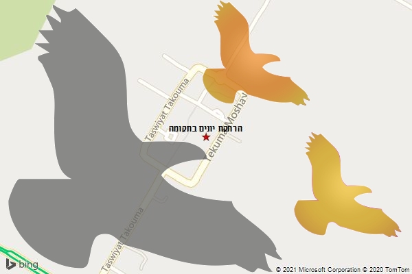 הרחקת יונים בתקומה