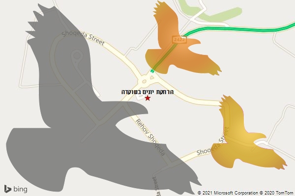 הרחקת יונים בשוקדה