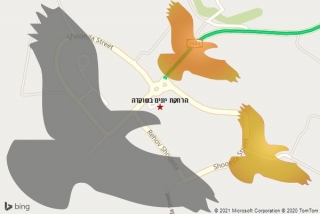 מרחיק יונים בשוקדה - הרחקת יונים בשוקדה