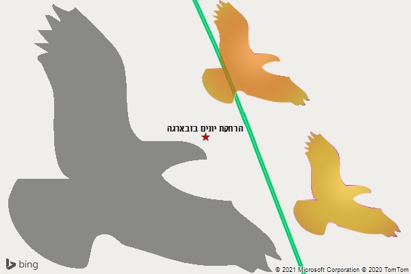 הרחקת יונים בזבארגה